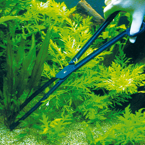 JBL CombiFix 46 cm - Aquarien-Pflanzenzange