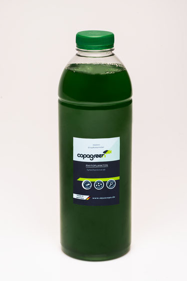 Synechococcus 5000ml